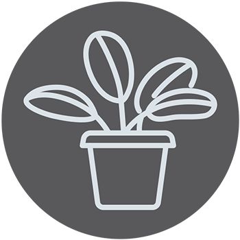 homemaker-icons-plant-care